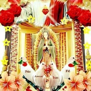 Meet your Posher, Olgarmz10@hotmail.com